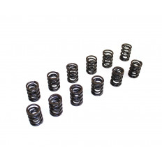 VW Golf 2.8 AAA 2.9 ABV VR6 verstärkte Ventilfedern ISP