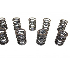 VW Golf 2.8 AAA 2.9 ABV VR6 verstärkte Ventilfedern ISP