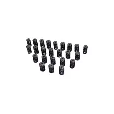 ValveX VW Golf VAG 2,8 - 3,2 V6 24V & R32 & R36 verstärkte Ventilfedern